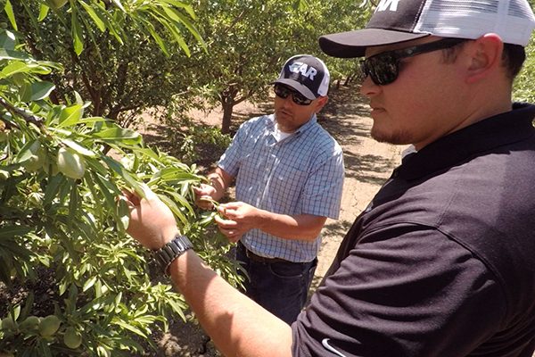 A GAR PCA and technician working together in the field