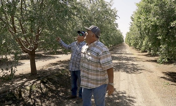 A GAR PCA and a grower walking an almond orchard together