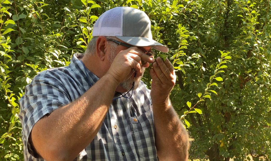 A GAR PCA inspecting a crop for early signs of trouble